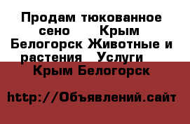 Продам тюкованное сено!!! - Крым, Белогорск Животные и растения » Услуги   . Крым,Белогорск